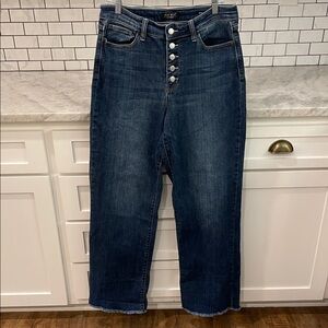 Judy Blue Jeans Womens 31 Denim Wide Leg Button Fly Raw Hem Inseam 31 Bohemian